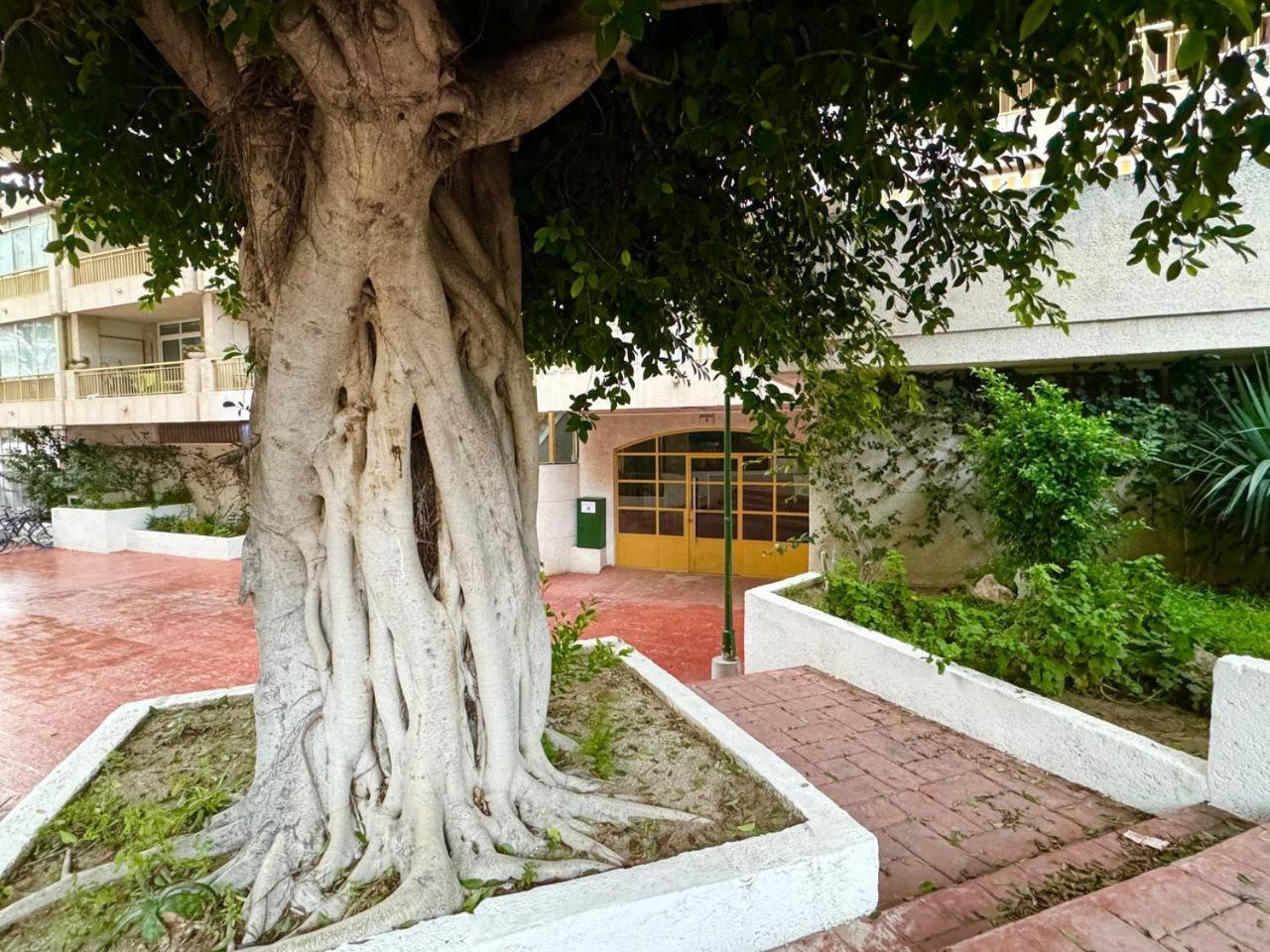 Apartsalou Lea Zewnętrze zdjęcie
